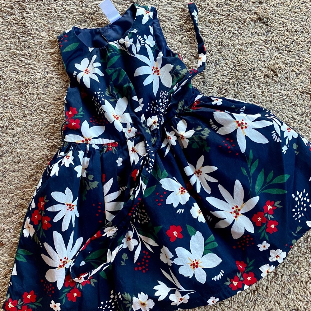 Beautiful Carter’s Formal Dress and Matching Cardigan 3T!!!